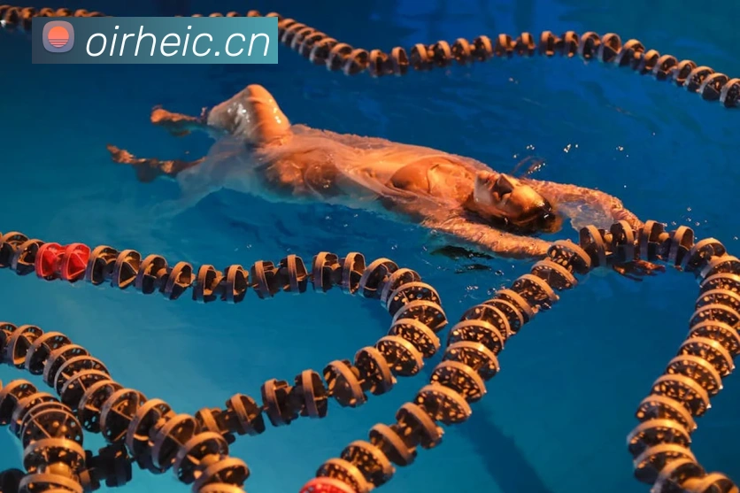 华体官网首页登录入口APP 高清赛事图